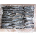 Frozen Seafood Pacific Mackerel Hgt Fish